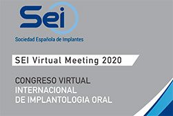SEI-2020-Virtual-Meeting-Programa-(1)-1